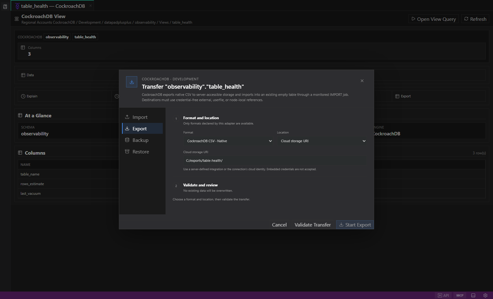 Native datastore transfer. Selected objects, native or portable formats, destination options, validation, and conflict-safe review.